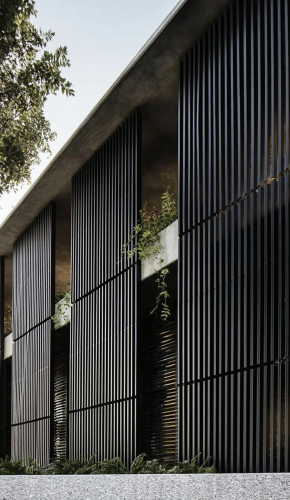 08 Puro Outdoor Context Shot