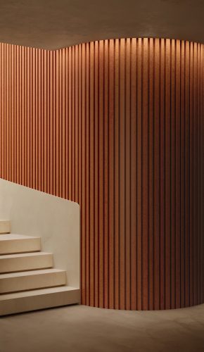 25_251_11_TERRA_02_R00